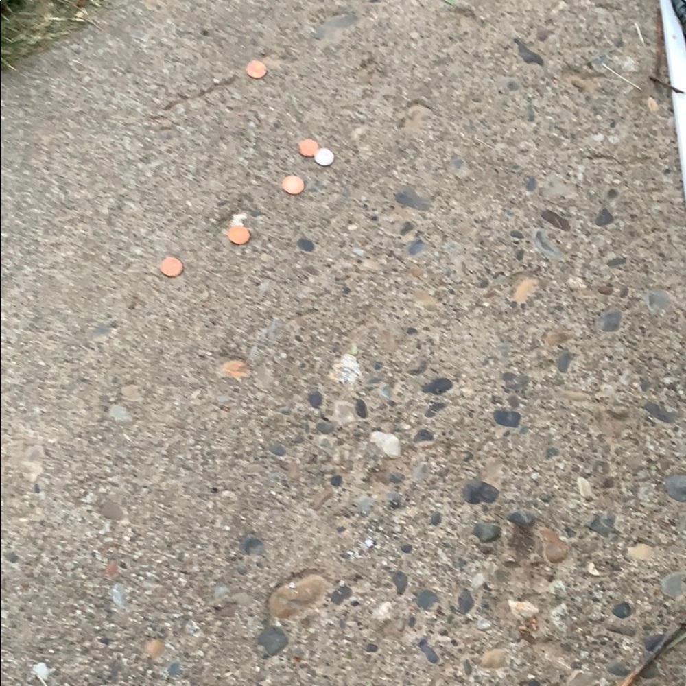 Meet your Posher, Kaitlin